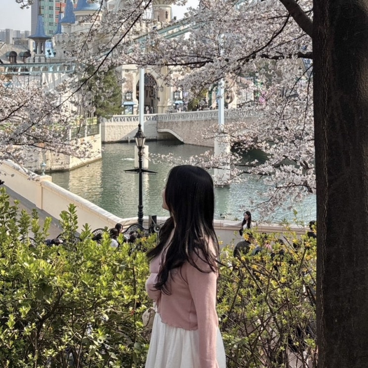  4월 일상 : 벚꽃 구경, 불교박람회, 국현미 전시, 그룹피티 시작