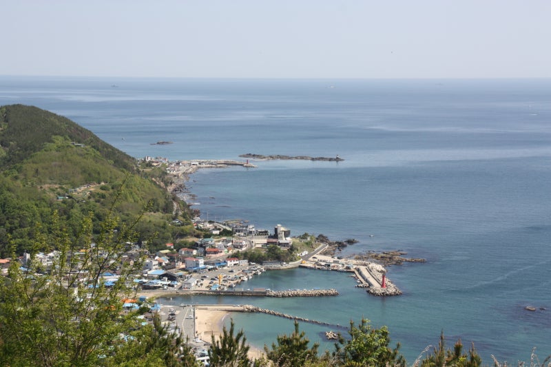 사진 3