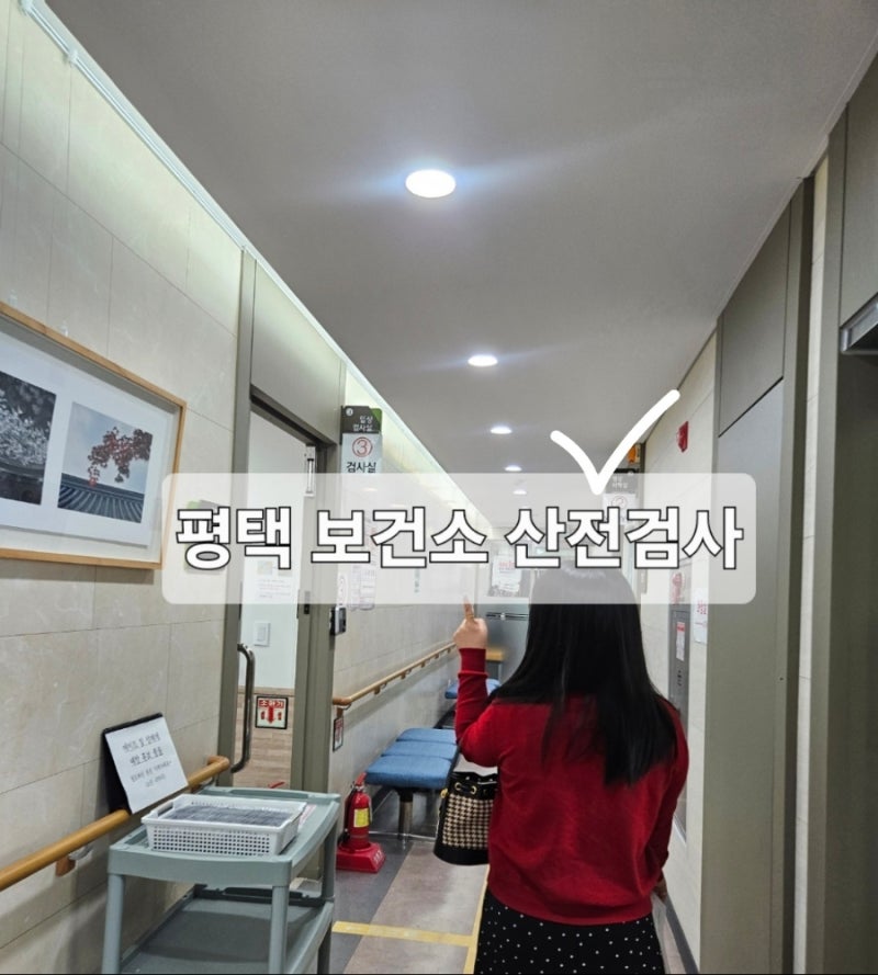 [경기 평택] 평택보건소에서 무료로 산전검사 받기 (검사항목, 영양제, 비용)