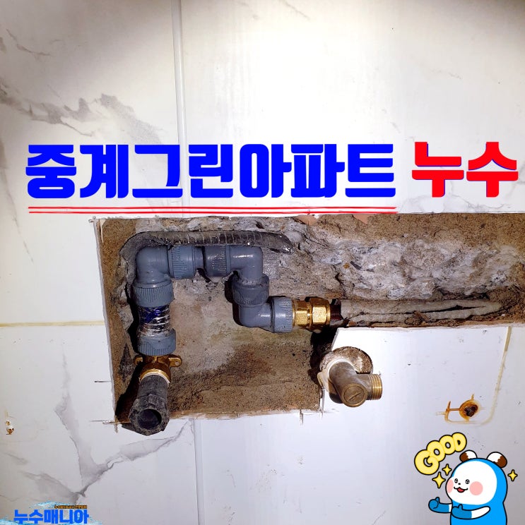  중계그린아파트 누수 보일러 온수 배관 누수탐지 해결 방법