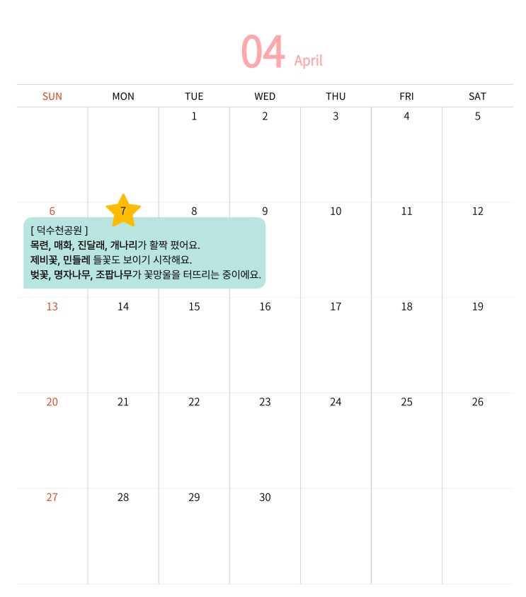  샬롯 일기_자연 관찰] 4월 첫째 주의 봄꽃들
