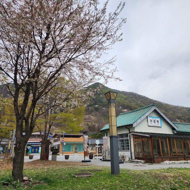  가은역 간이역 문경 예쁜 폐역 경북 여행 가볼만한 곳