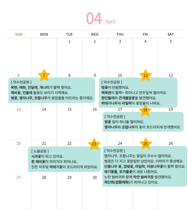  샬롯 일기_자연 관찰] 4월 셋째 주의 봄꽃들 2