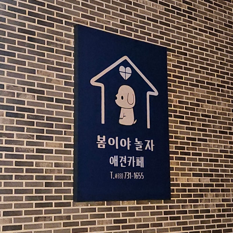 사진 5