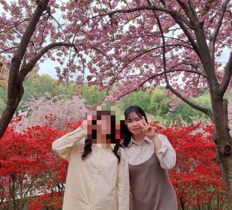  전주 1박 2일 일정(칠봉꽃동산, 경기전, 차경, 동래분식, 평화와 평화)