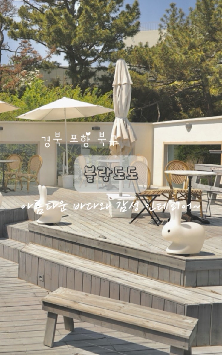  포항 오도리 카페 오션뷰 감성 블랑도도