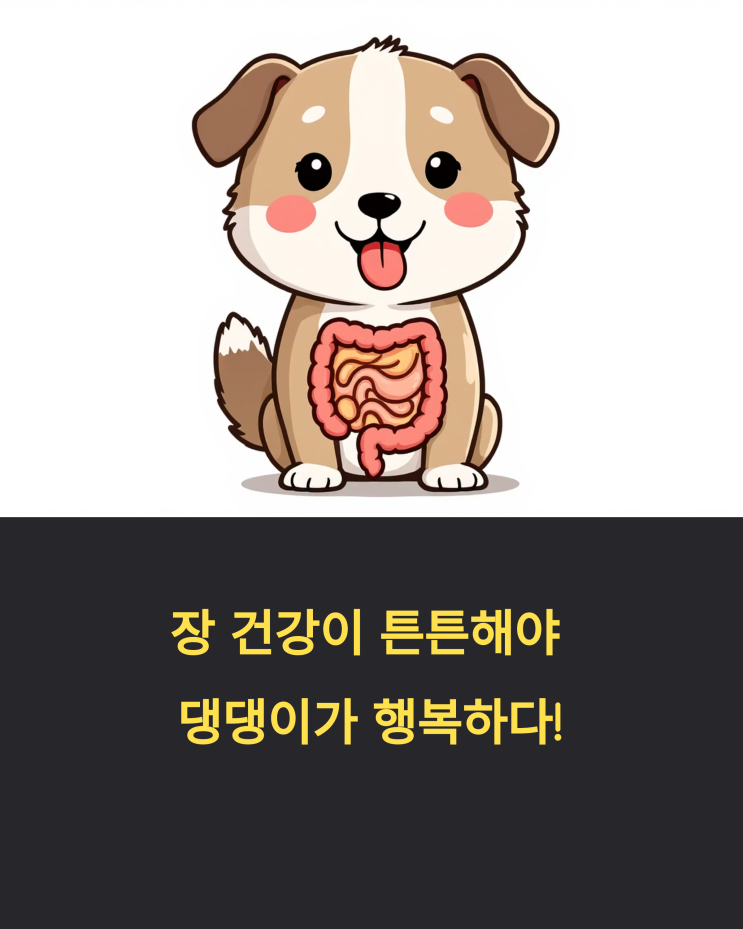  장 건강이 튼튼해야 댕댕이가 행복하다! 강아지 유산균 고르는 법 & 급여 꿀팁