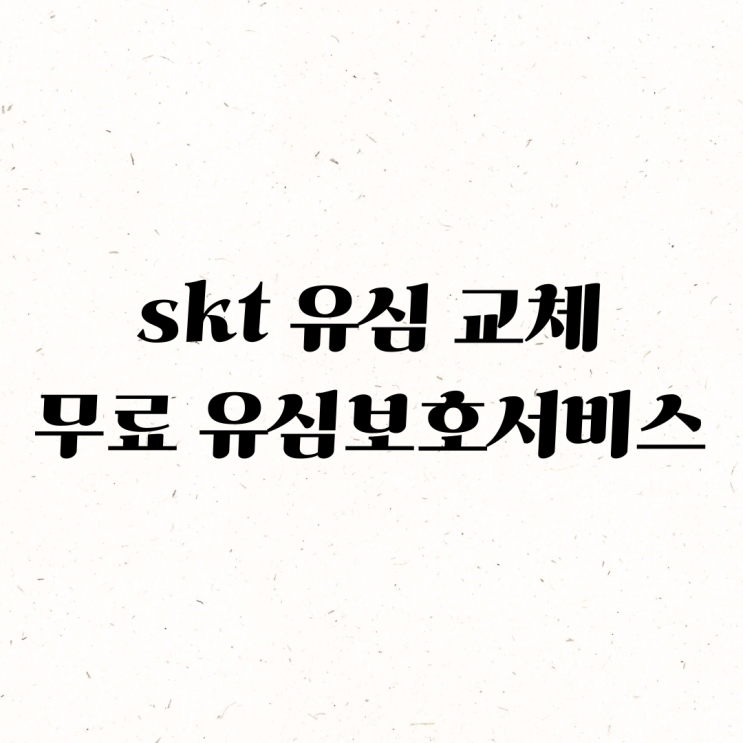 <b>skt 유심 교체</b> 무료 유심보호서비스 신청 공항 예약