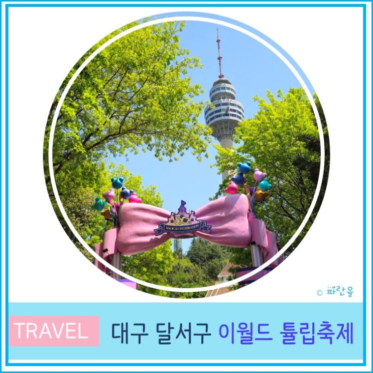  대구 놀이공원 아이와 가볼 만한 곳 이월드 실시간 튤립 축제 후기