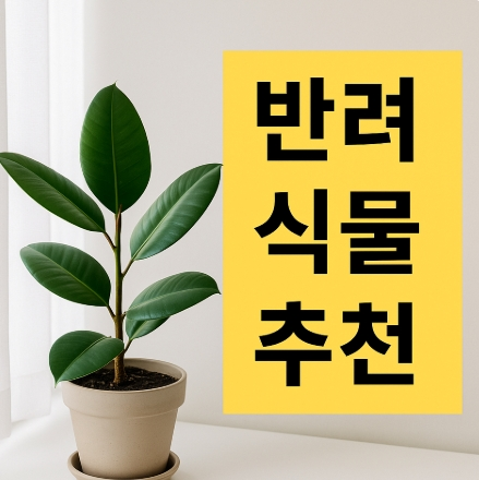  초보자를 위한 반려식물 추천｜처음 키우기 쉬운 실내 식물 베스트