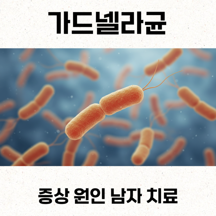  가드넬라균 증상 원인 남자 치료