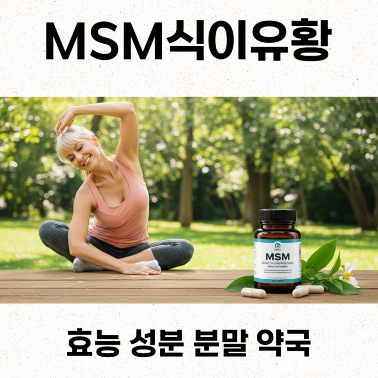  MSM식이유황 효능 성분 분말 약국