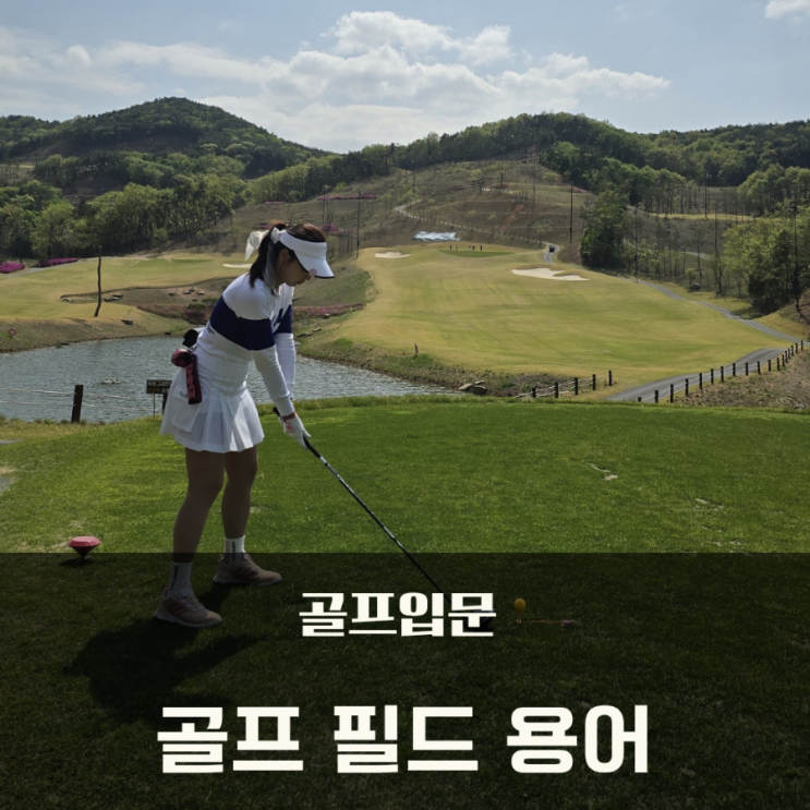  골프 입문) 초보 골퍼를 위한 골프 필드 용어 정리!