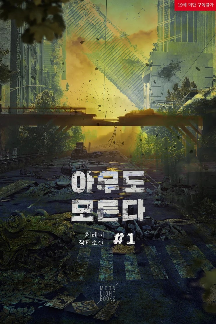 BL소설 리뷰) 체레네-아무도 모른다 (외전증보판) BL소설 리뷰) 체레네-아무도 모른다 (외전증보판)