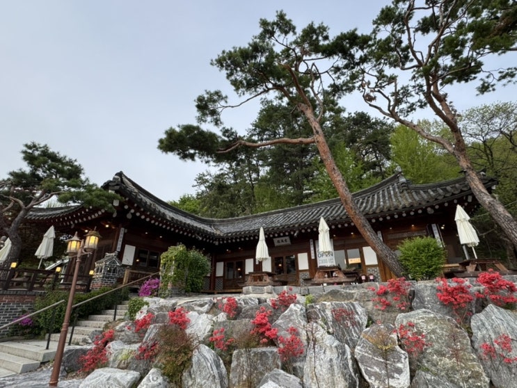 [경기/광주] 예전경양식 경기도광주맛집 후기 / 돈까스 맛집 추천!