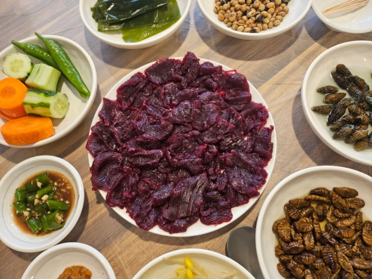  대구 현지인이 데려가 준 수성구 육회 비빔밥, 뭉티기 맛집 대해생고기