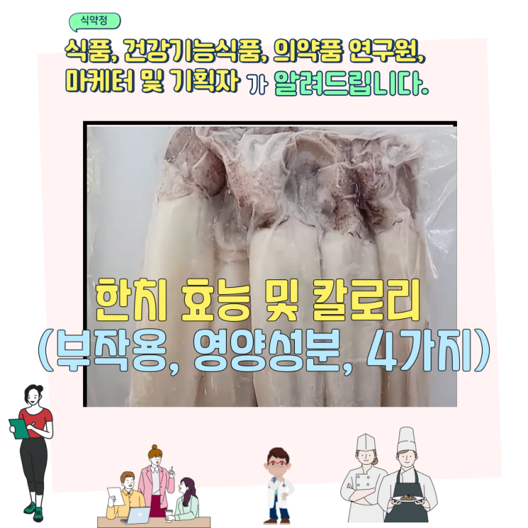  한치 효능 및 칼로리 (부작용, 영양성분, 4가지)