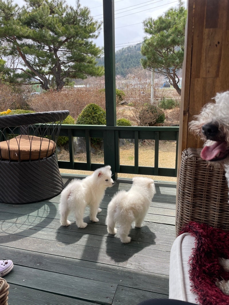 사진 5