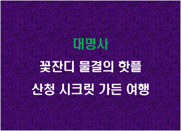  대명사, 꽃잔디 물결의 핫플 산청 시크릿 가든 여행