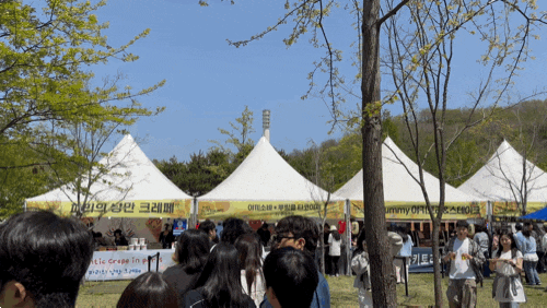 2025 러브썸 페스티벌 꿀팁/준비물 포함 상세후기(3. 푸드존, 브랜딩 존, 잡화점, 포토존 등)|이건 꼭 챙겨가셔야 합니다 안 챙기면 손해에요
