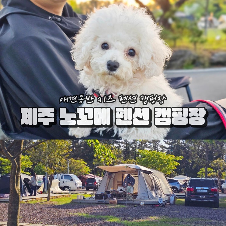  제주도 애견 캠핑장 노꼬메오름 숲 키즈 펜션 숙소