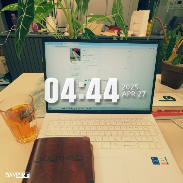  새벽에 마주한 기억의 흐름: 에빙하우스의 망각곡선과 나의 영어 여정