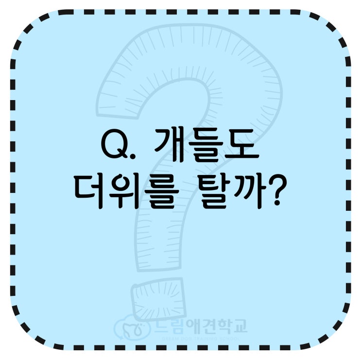  반려견의 더위 대책세우기 ! 개들도 더위를 탈까?