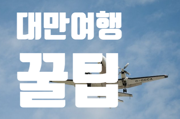  대만여행 필수 꿀팁 6선! 놓치면 후회하는 정보 대공개 / 시먼딩화장실 팁문화 대만이심 대만MRT 등