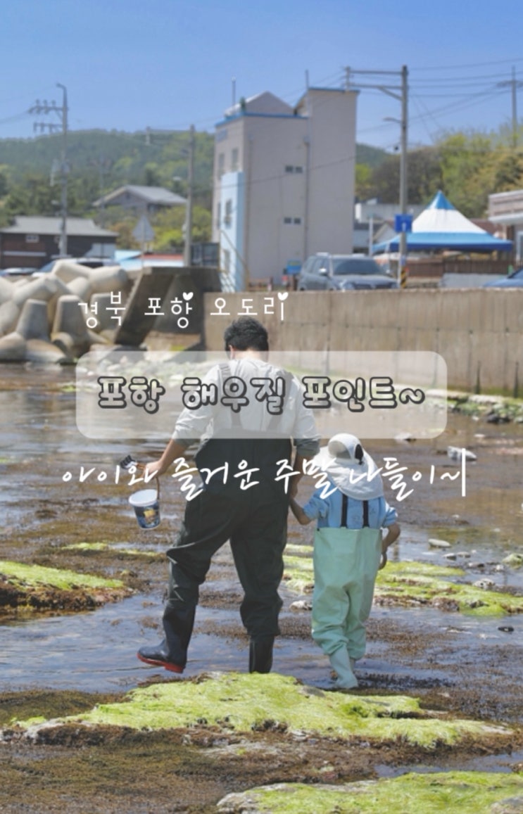  대구 근교 나들이 아이와 해루질 포인트, 포항 오도리