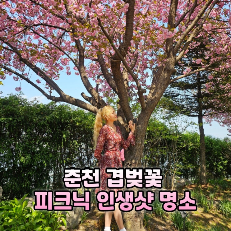  춘천 강원도립화목원 겹벚꽃 명소 데이트코스 볼거리 후기