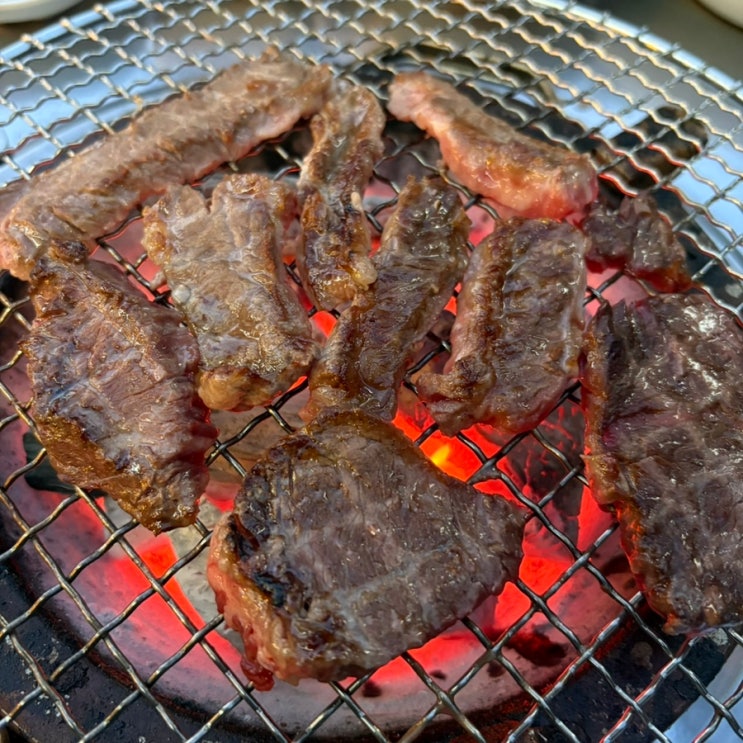  지금 가야하는 석촌호수 야장 맛집, 애견동반 가능한ㅣ드럼통참숯석쇠구이