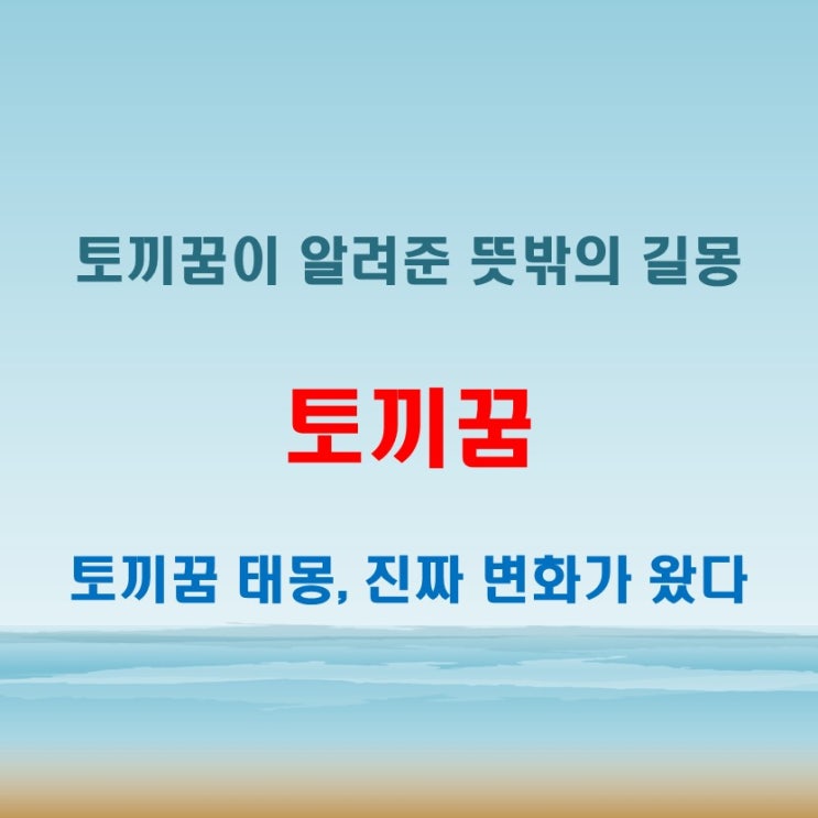  토끼꿈 태몽 꾸고 나서 생긴 놀라운 변화 5가지