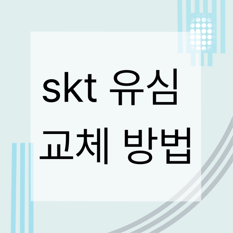 skt 유심 교체 방법 일정 비용 유심보호서비스 가입