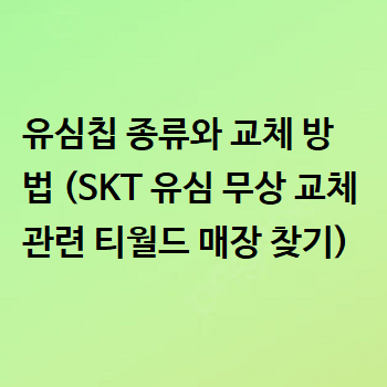  유심칩 종류와 교체 방법 (SKT 유심 무상 교체 관련 티월드 매장 찾기)