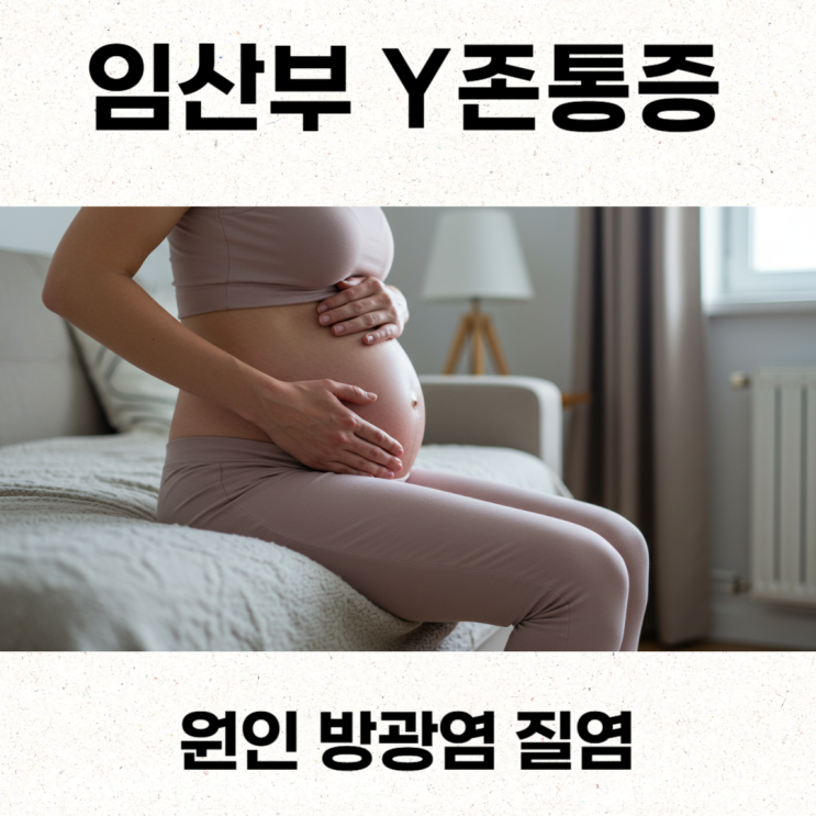 임산부 Y존통증 원인 방광염 질염