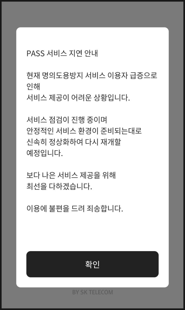  [SK텔레콤 유심 정보 유출] PASS 카카오뱅크 먹통