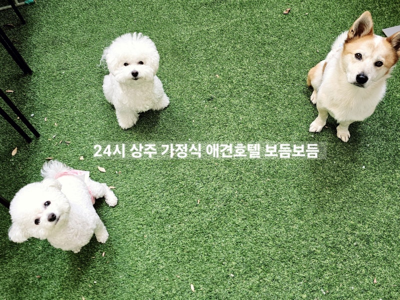 사진 2