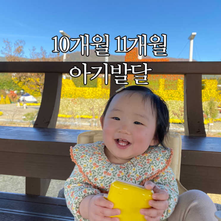  10개월 11개월 아기발달 사항 특징 두뇌성분제 아기 영양제