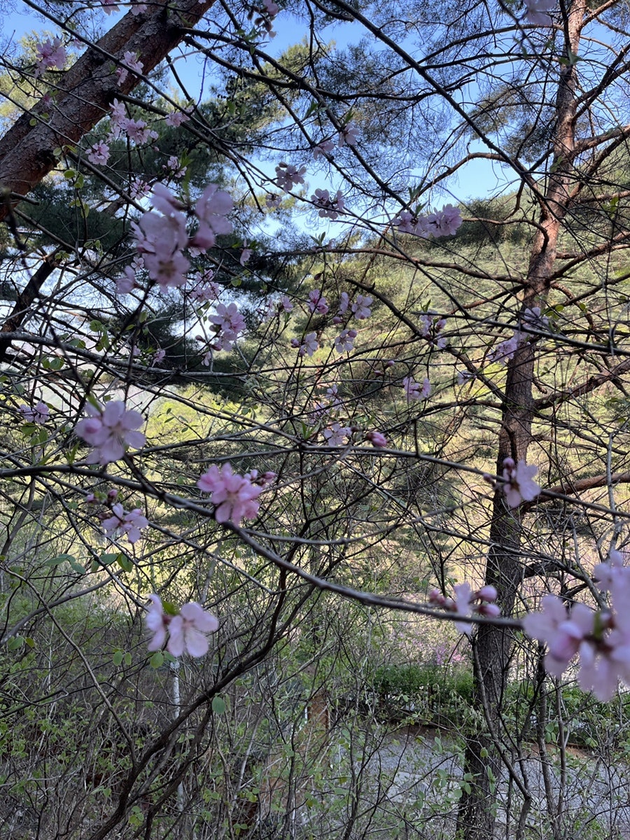 삼태기식당 사진 6