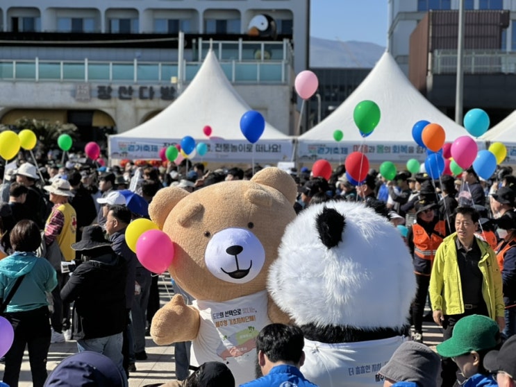  제주도 2025 차없는 거리 걷기 축제 현장취재(4.26)