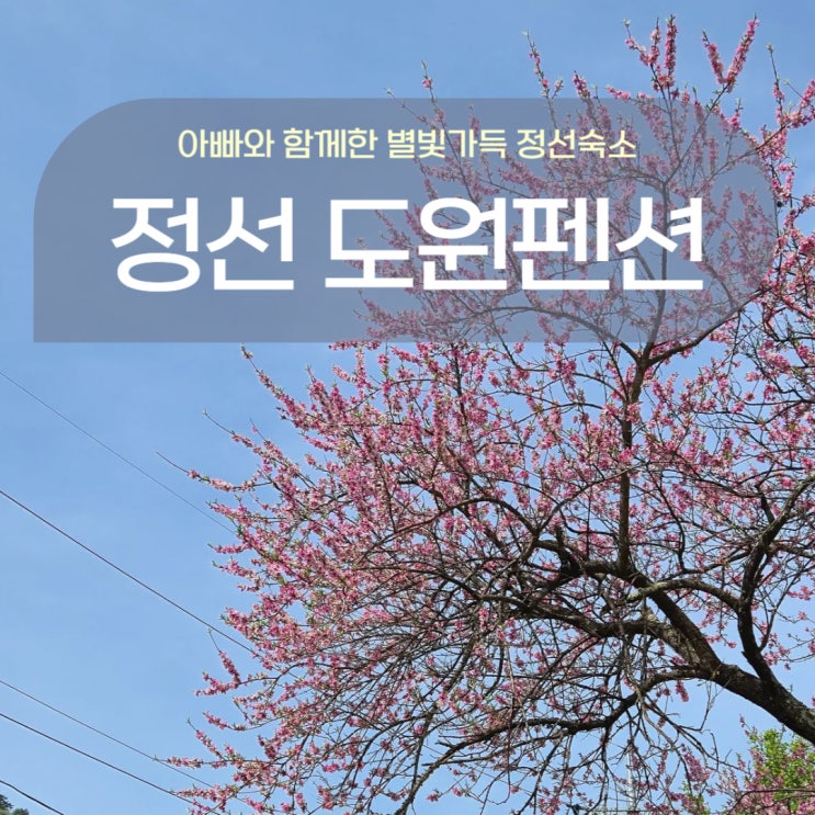  강원도 정선 가성비 도원펜션 1박2일 여행 숙박기