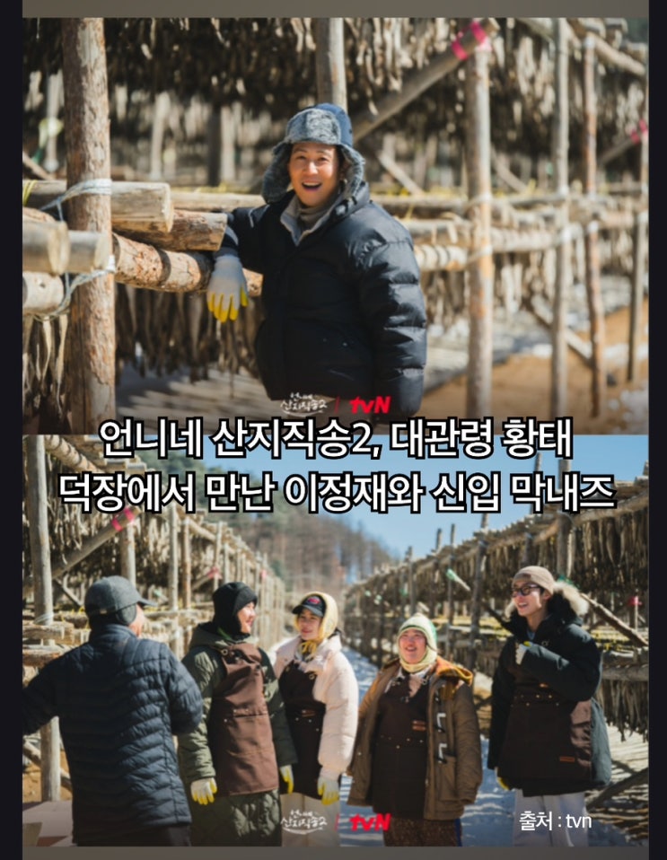 언니네 <b>산지직송2</b>, 대관령 <b>황태</b> 덕장에서 만난 <b>이정재</b>와 신입... 