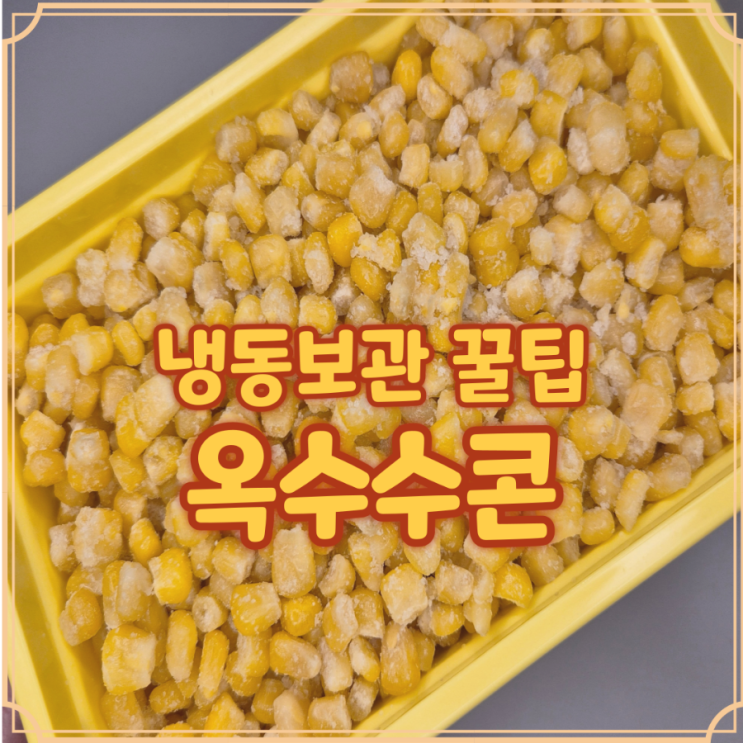  옥수수콘 보관 냉동 소분용기로 오래 먹는 꿀팁