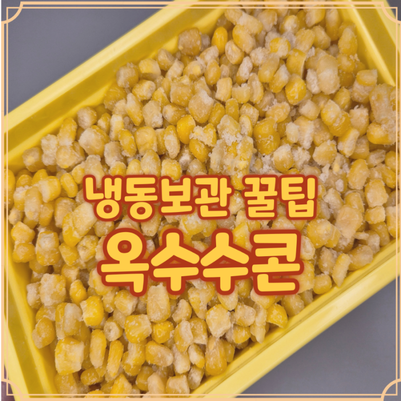 옥수수콘 보관 냉동 소분용기로 오래 먹는 꿀팁