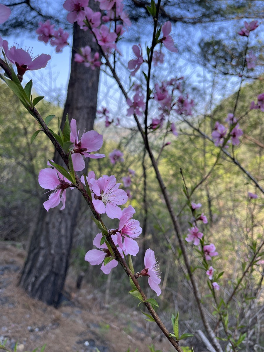 삼태기식당 사진 5