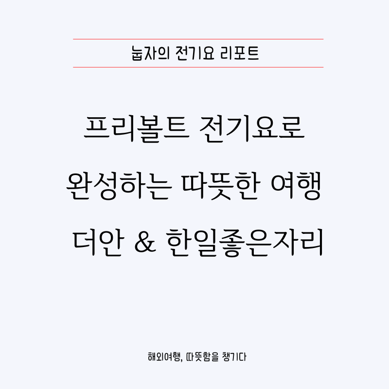 해외여행용 프리볼트 전기요 장판, 더안 vs 한일좋은자리 비교 총정리!
