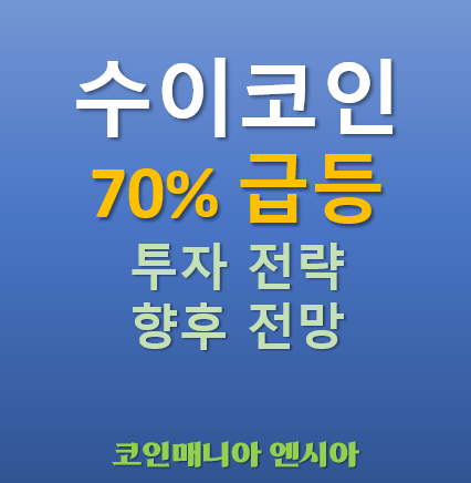  수이코인(SUI) 급등! 투자전략부터 향후 전망까지 완벽 분석