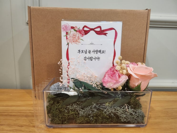  에스아르뗌 어버이날선물로 카네이션 공기정화식물 용돈박스 DIY