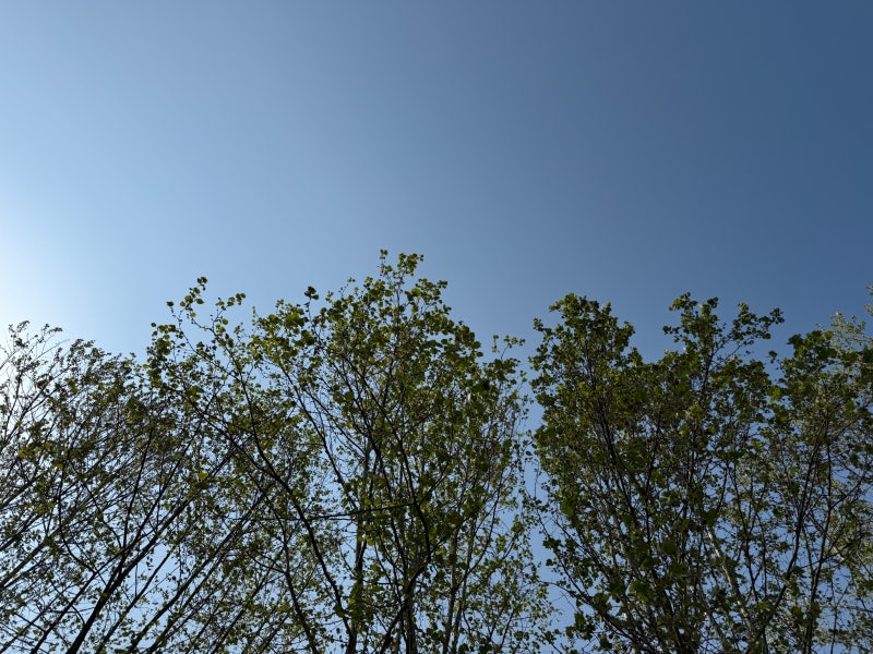 사진 7
