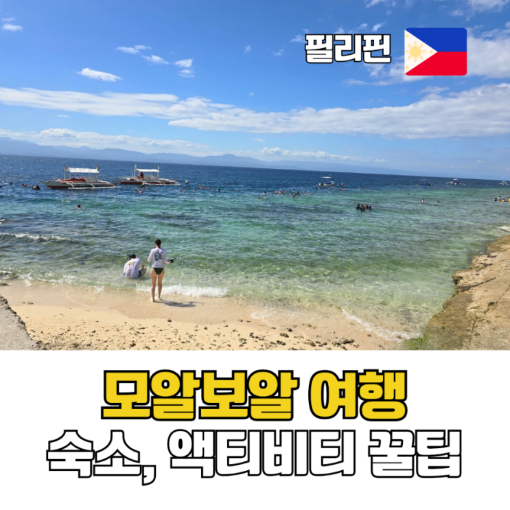  모알보알 여행 가이드 세부에서 모알보알 가는법 숙소 거북이 정어리떼 스노클링